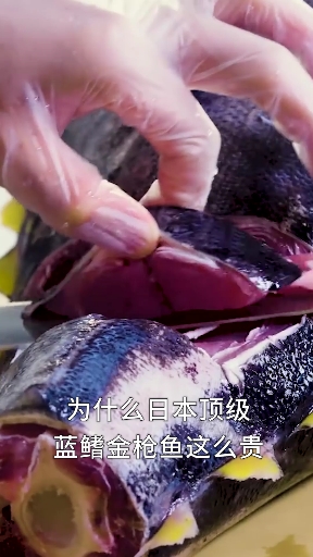 为什么日本顶级蓝鳍金枪鱼这么贵,切开骨髓的瞬间明白了!
