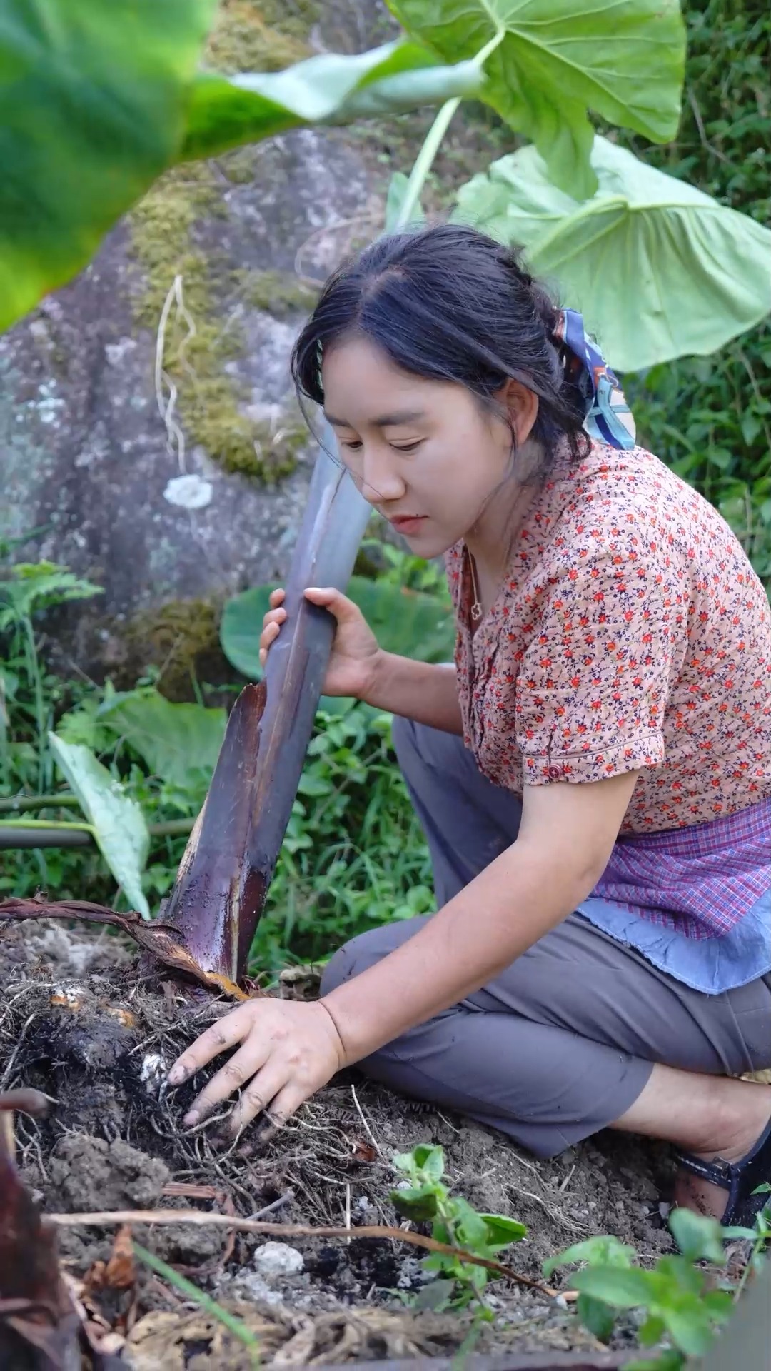 #乡村生活#稻谷飘香的时节,肥美的稻花鱼是藏在记忆里的乡愁滋味。