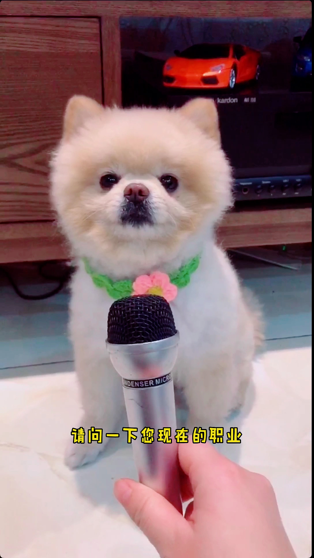 请问一下你现在的职业.在古代叫什么