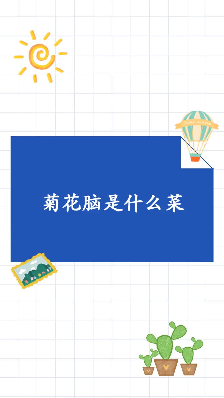 菊花脑是什么菜