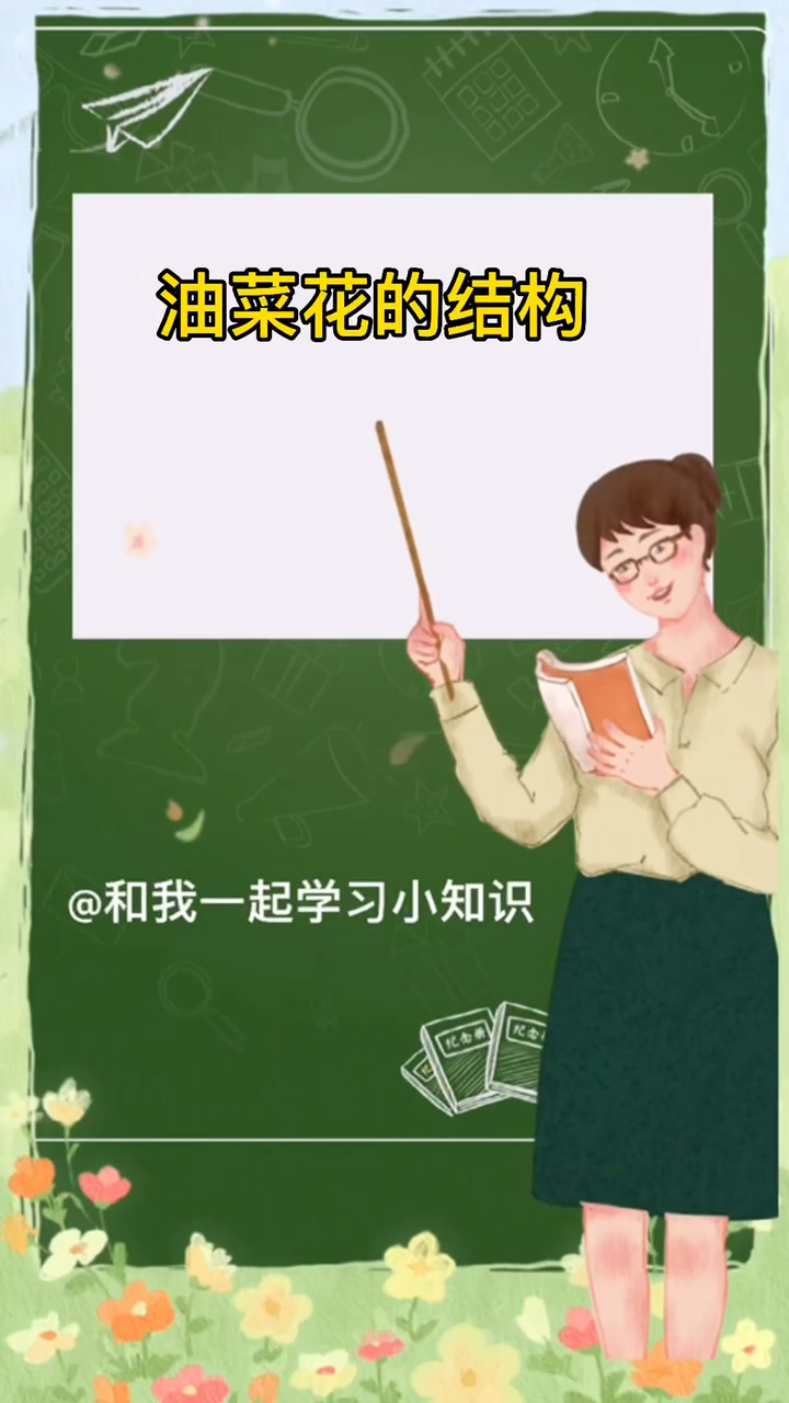 油菜花的结构。。