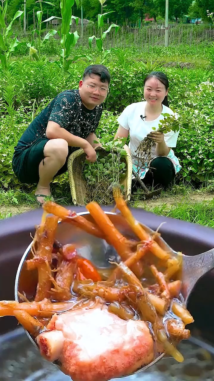 鱼腥草也叫折耳根,很多人不喜欢这个气味,也有非常多的人对它爱不释手