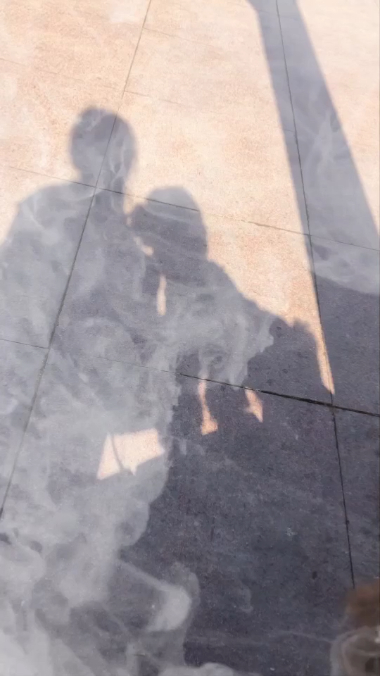 红尘中一情种 风月佳人怎能懂 空欢喜都成空 是我的黄粱一梦 梦一场