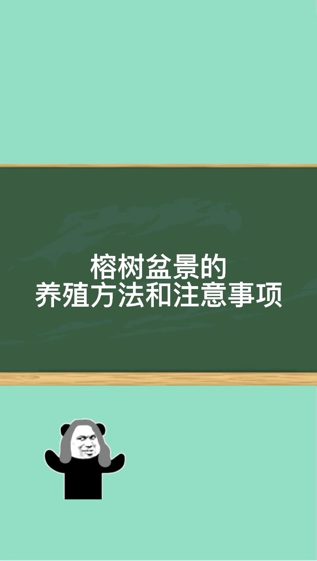 榕树盆景的养殖方法和注意事项