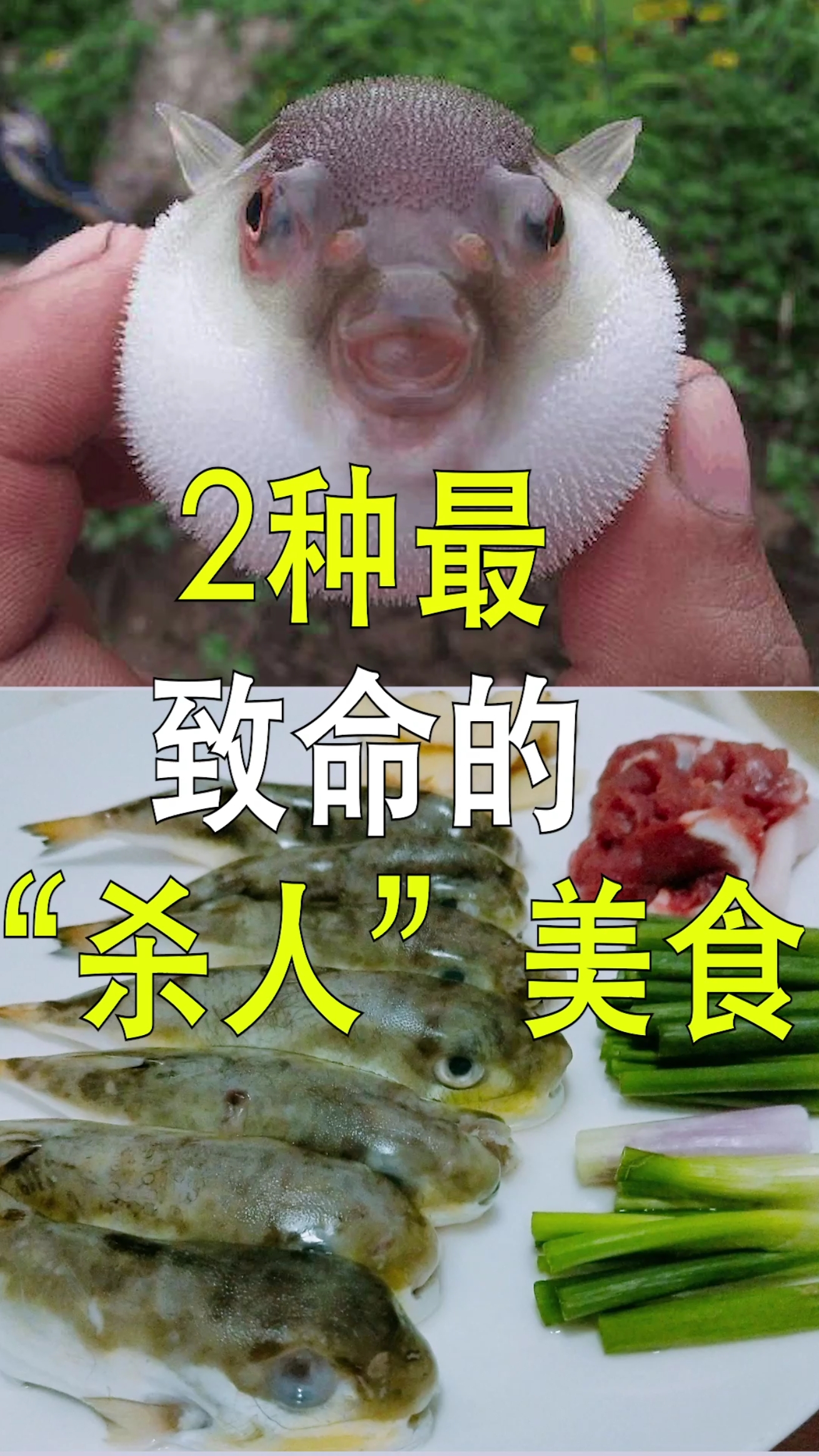 #有毒#2种最致命的“杀人”美食下