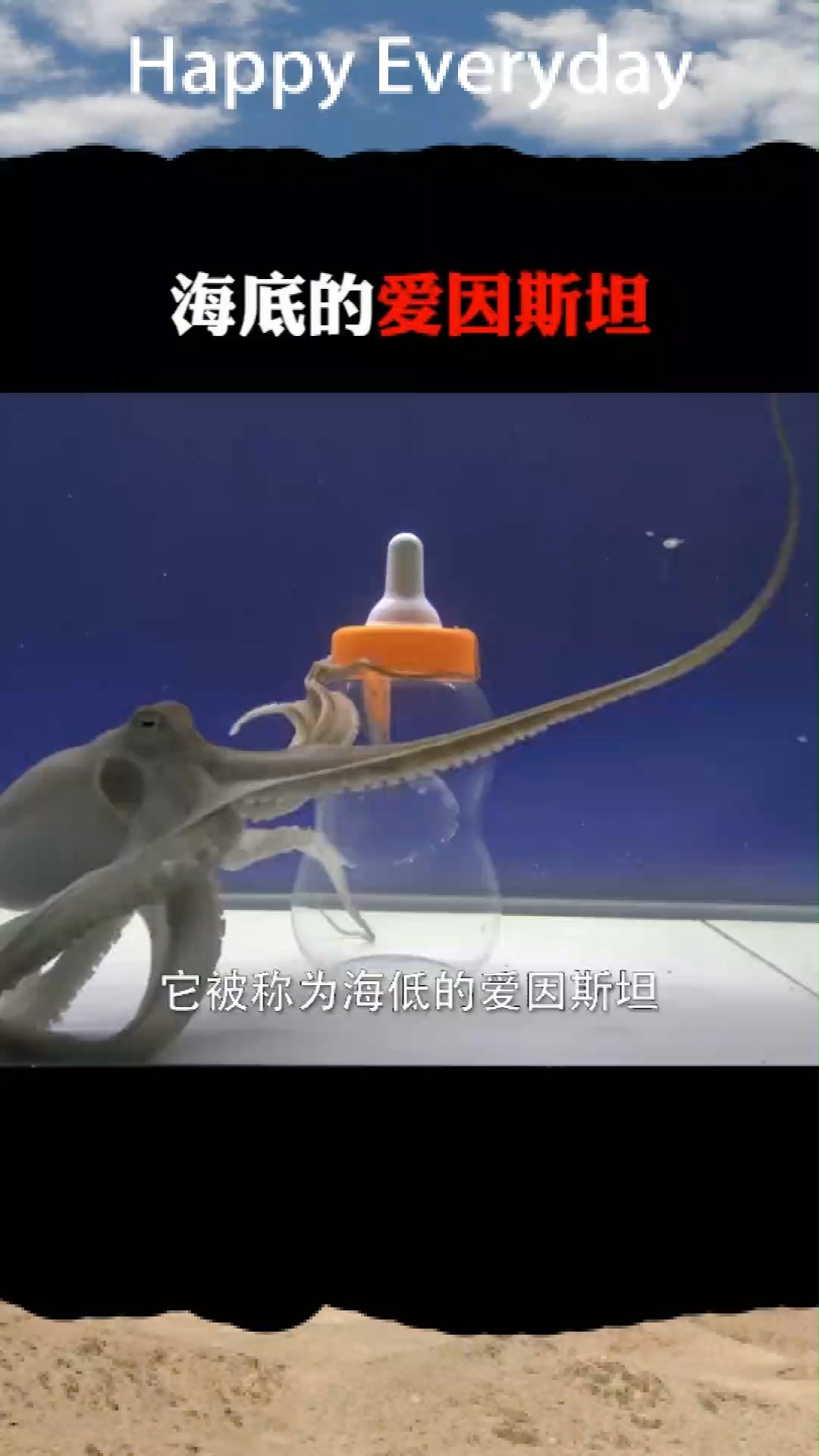 据说章鱼最后可能是外星人,你信吗