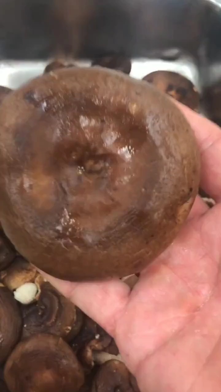 佛门素烧鹅教程