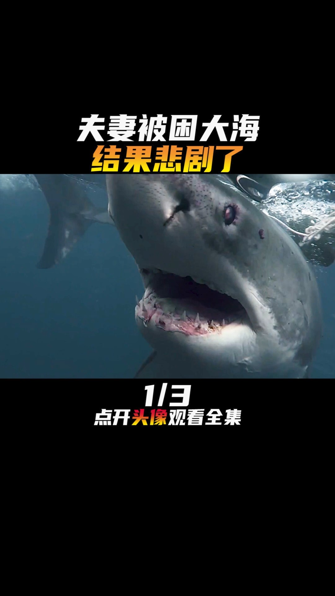 #电影解说#两人被困大海遭到鲨鱼的攻击