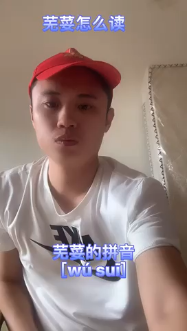 芜荽怎么读    