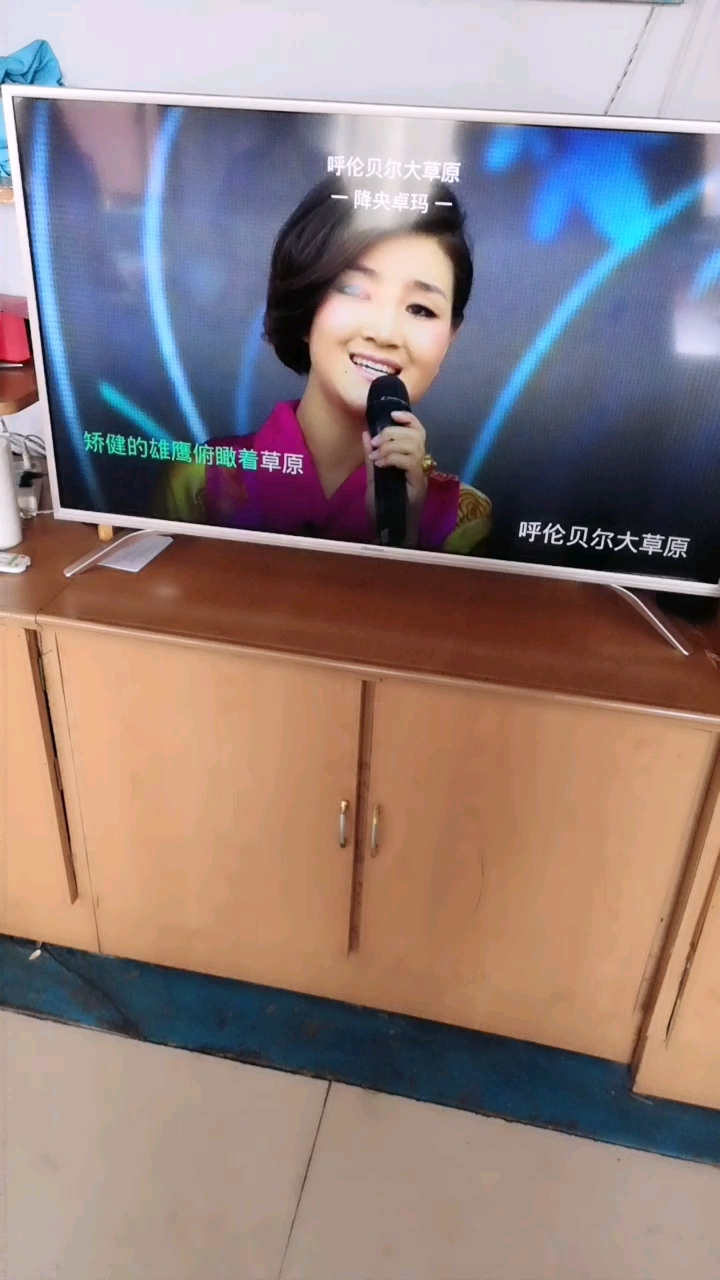 矫健的雄鹰俯瞰着草原