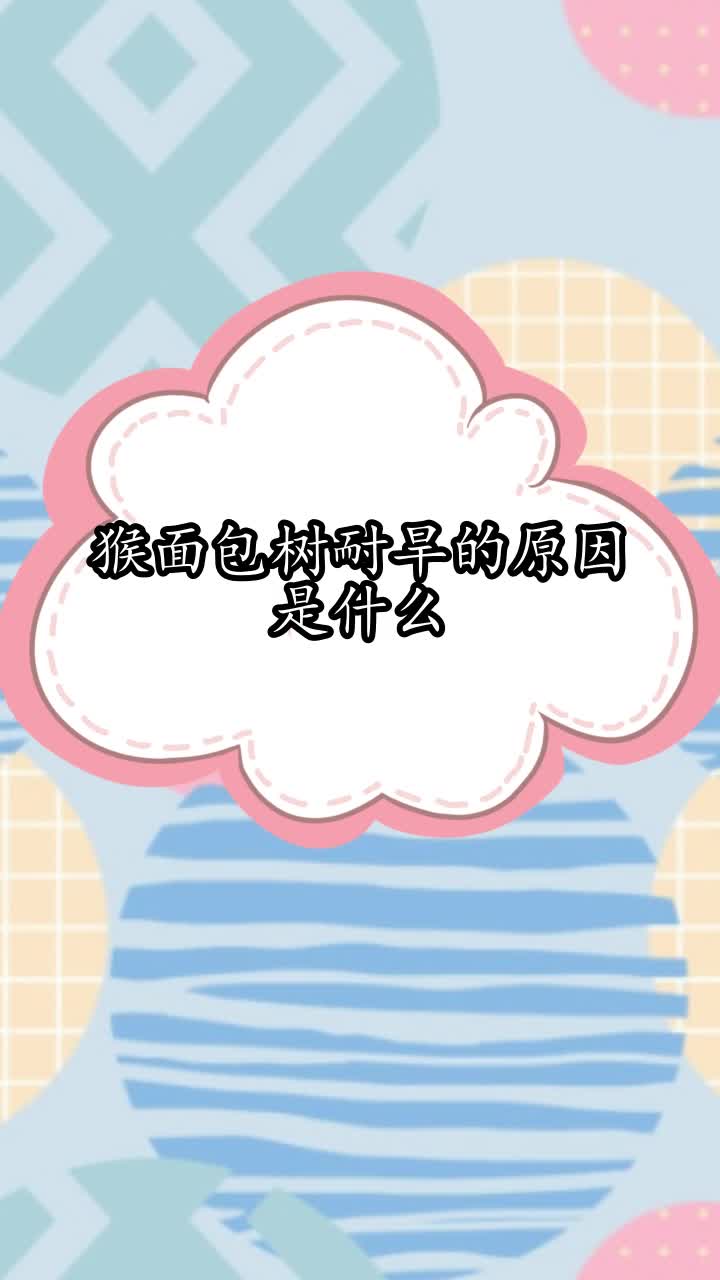猴面包树耐旱的原因是什么,你听懂了吗