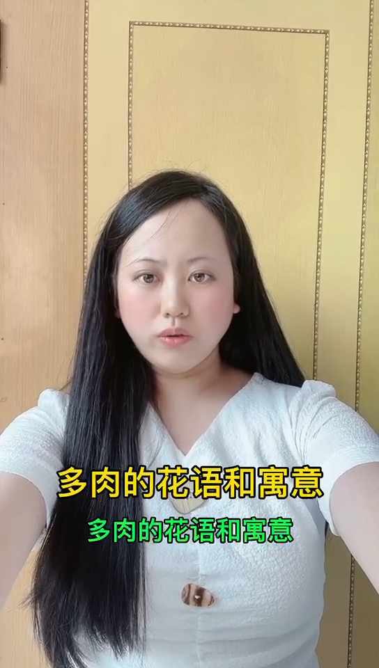 多肉的花语和寓意