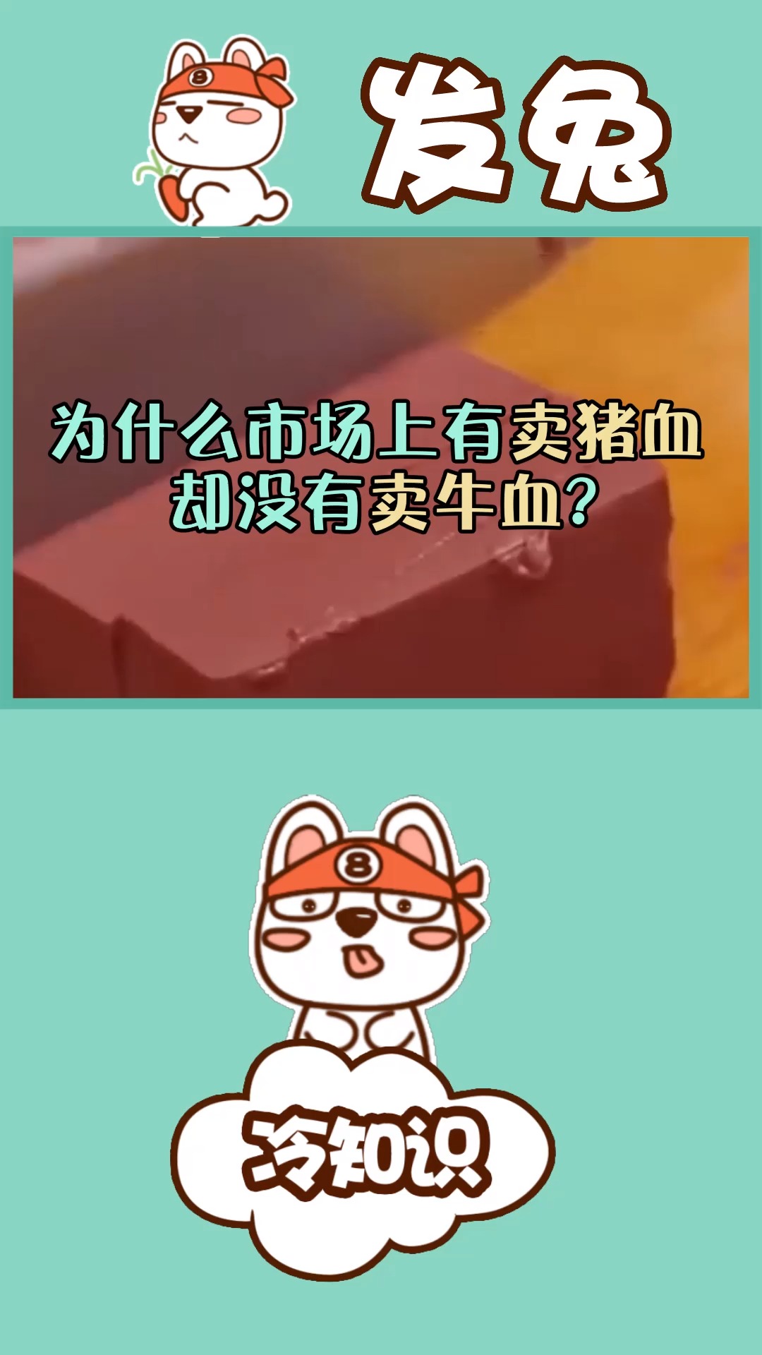 为什么市场上有猪血买,却没有牛血买?