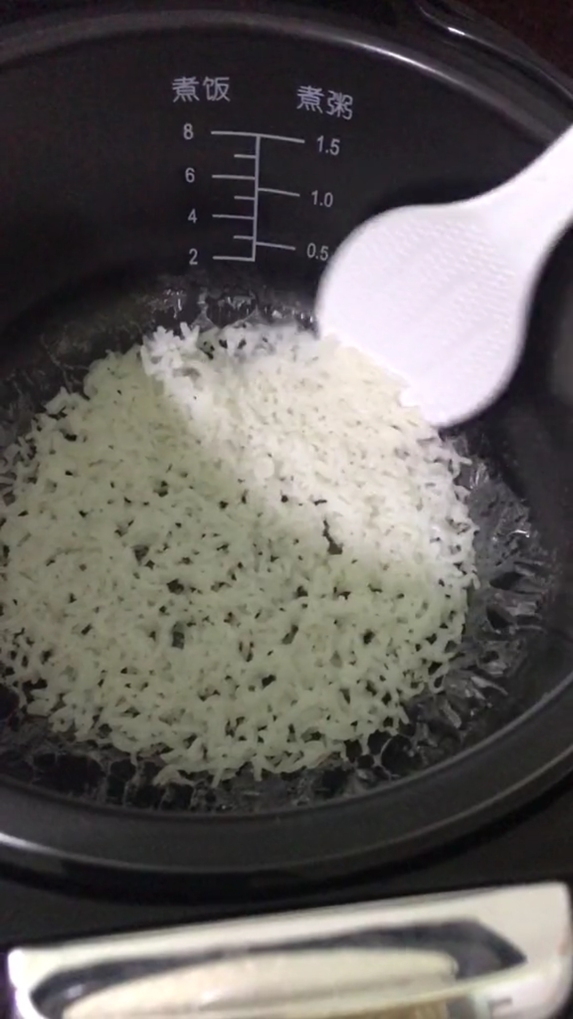 这是一个人的米饭,成锅巴了!