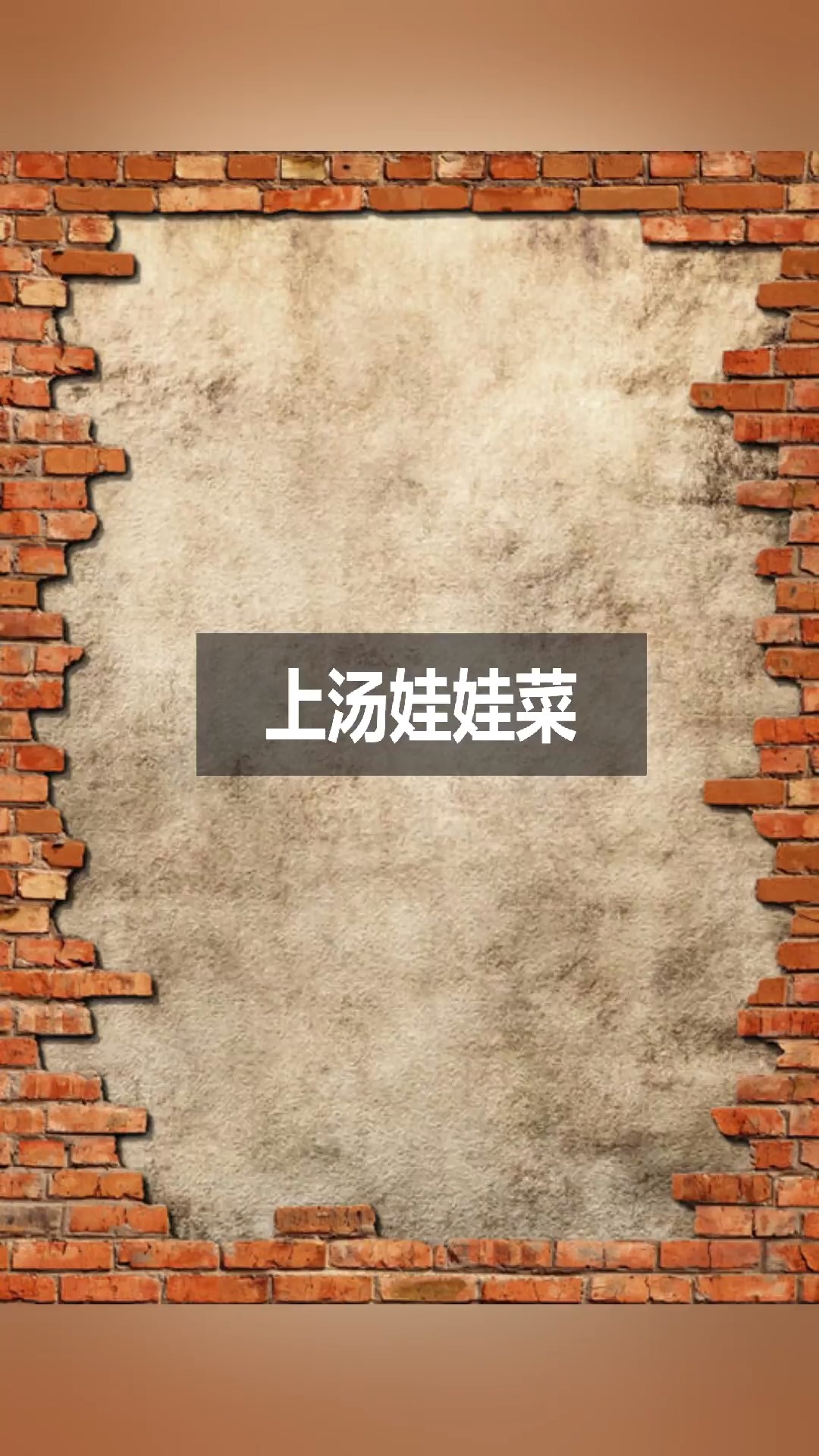 我想吃不加一滴高汤的上汤娃娃菜