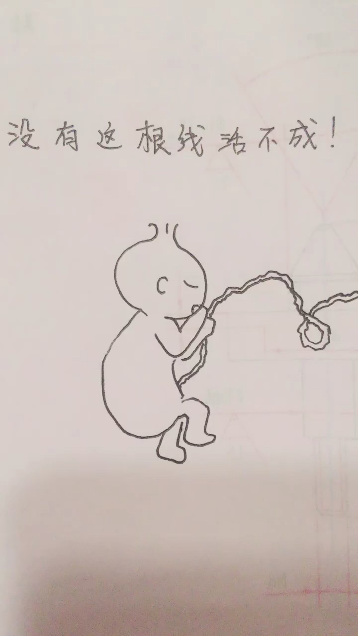 包子头一一同样重要