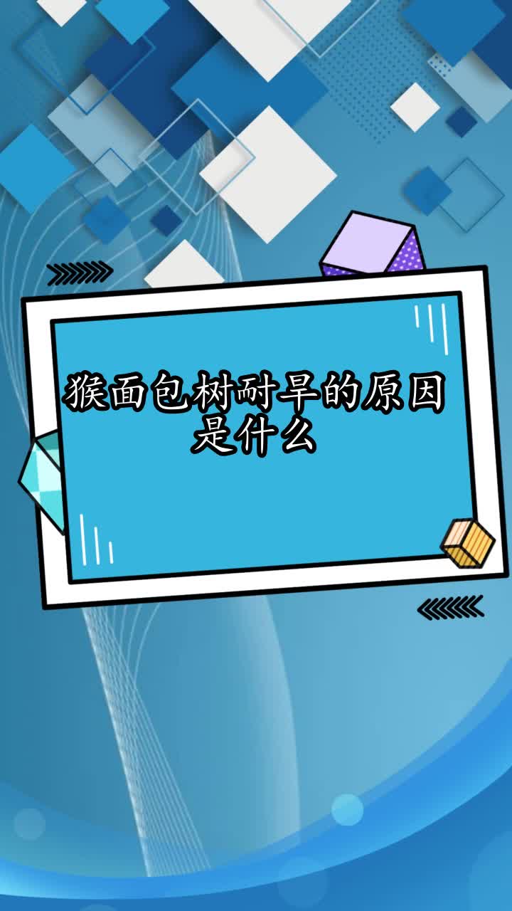 猴面包树耐旱的原因是什么,你理解了吗