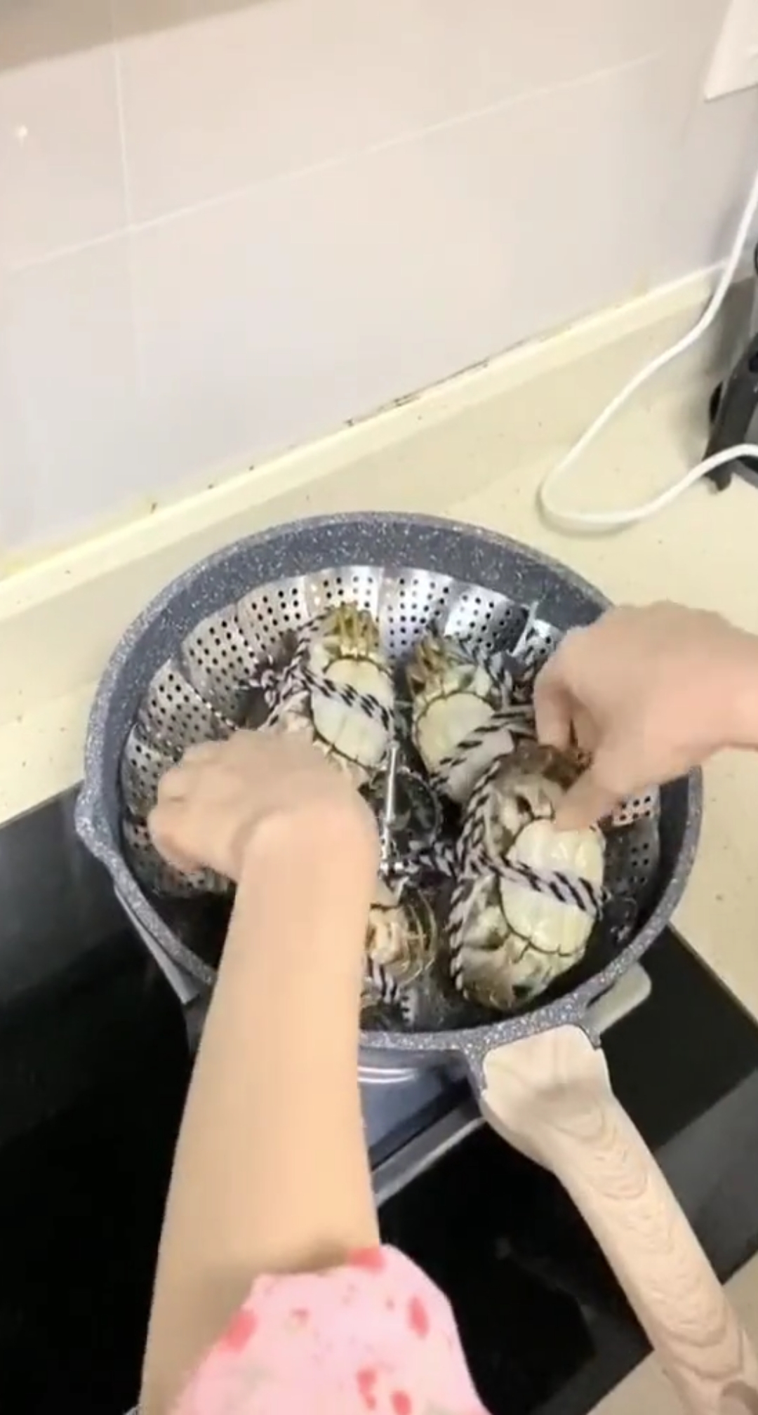 这个笼子太神奇