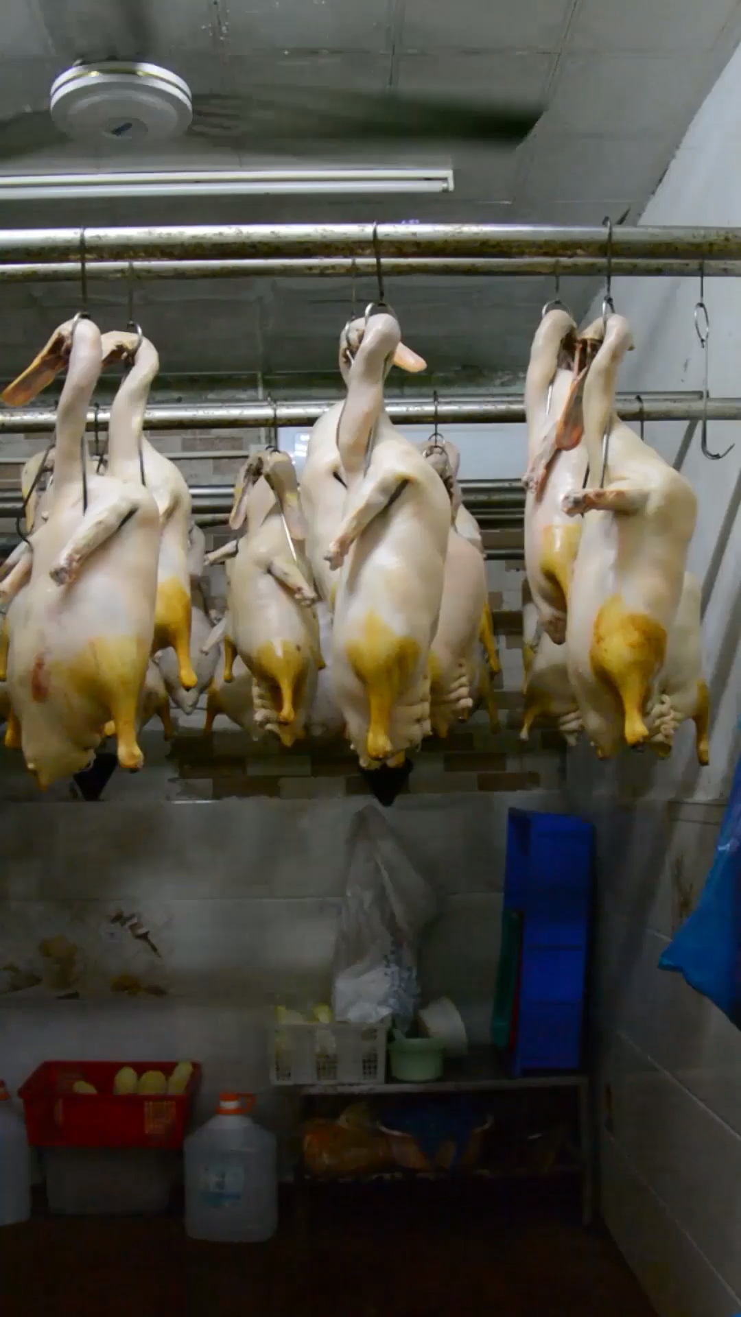 #抓住夏天#分享烧鸭风干原理和烧鸭风干设备要求