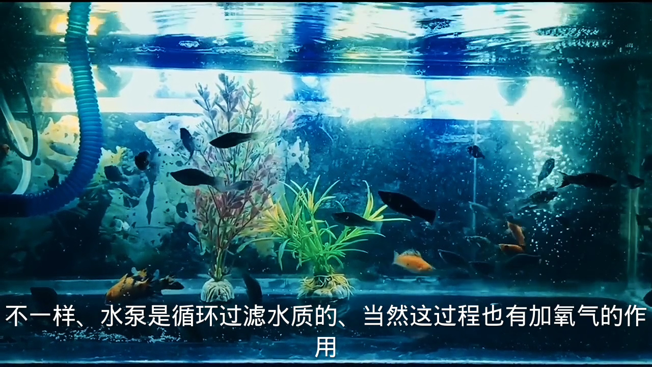 静音水泵和增氧泵是一回事吗?