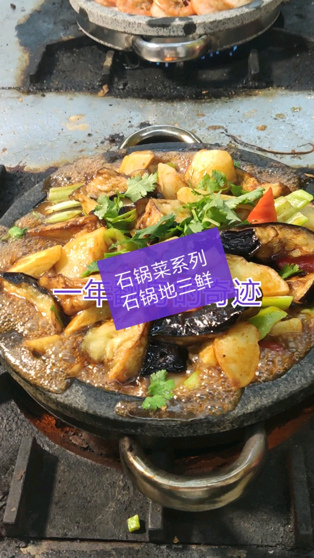 石锅菜系列~酱香地三鲜