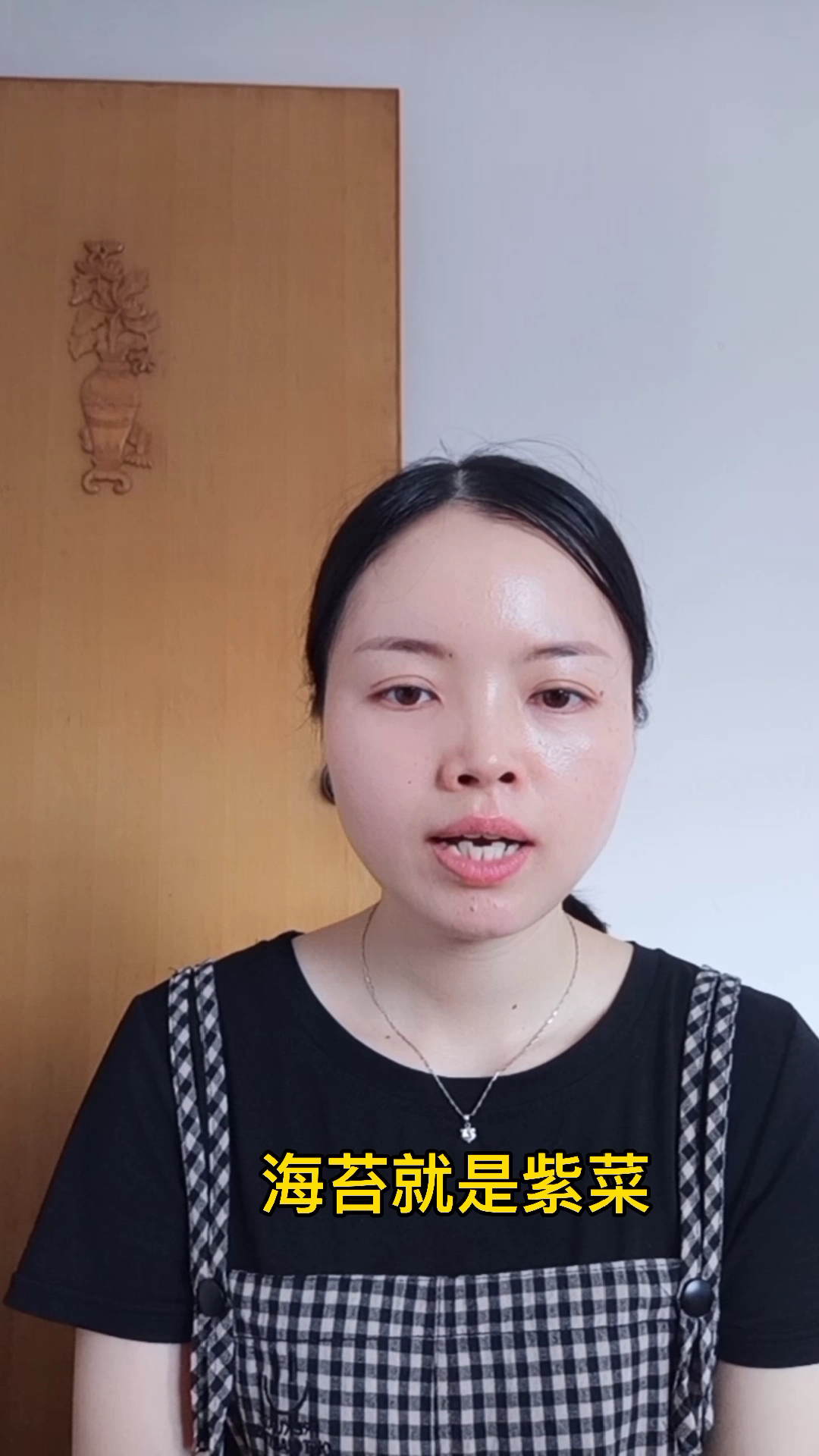 海苔是什么?     
