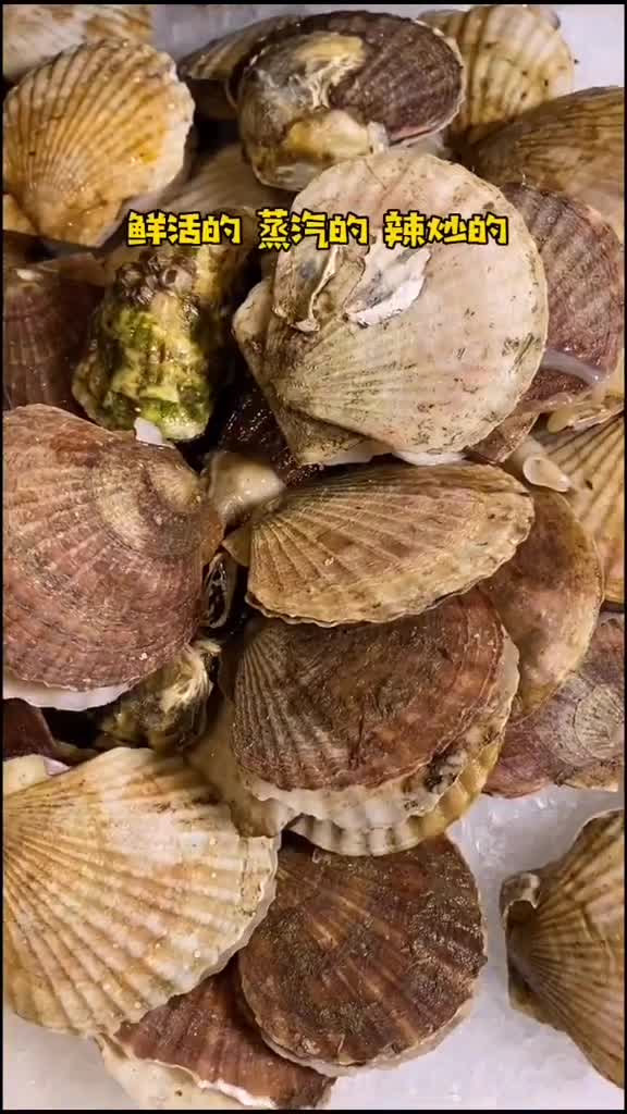 多块多道菜自助分分钟吃够本海鲜烤肉火锅酱骨头整就完了我的生活日记自助长春美食