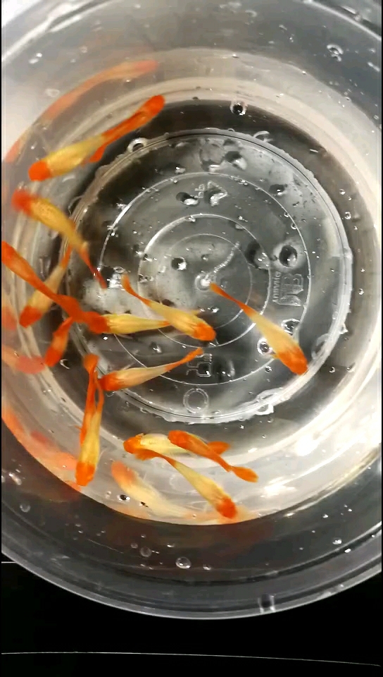 分享视频