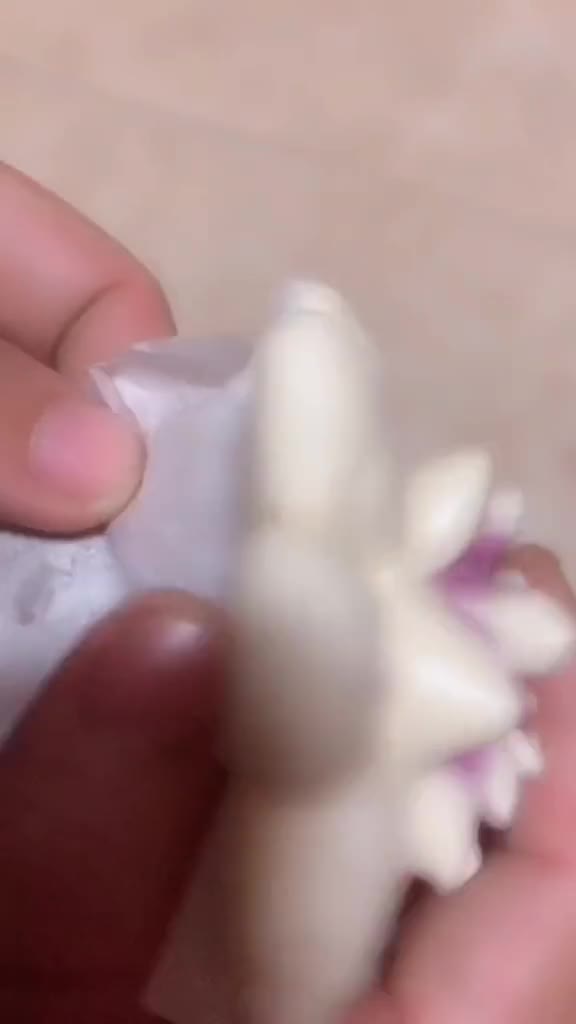 馒头蒸好的样子,是不会变形的,很松软,教程在上一个视频!感谢老铁们的支持!,果蔬卡通包培训