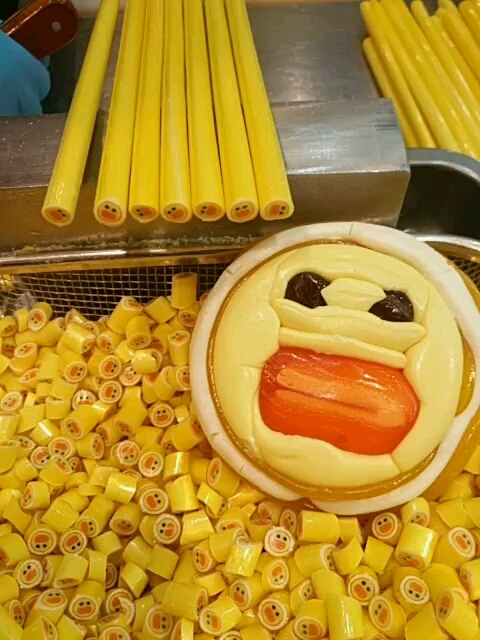 莎莉鸡