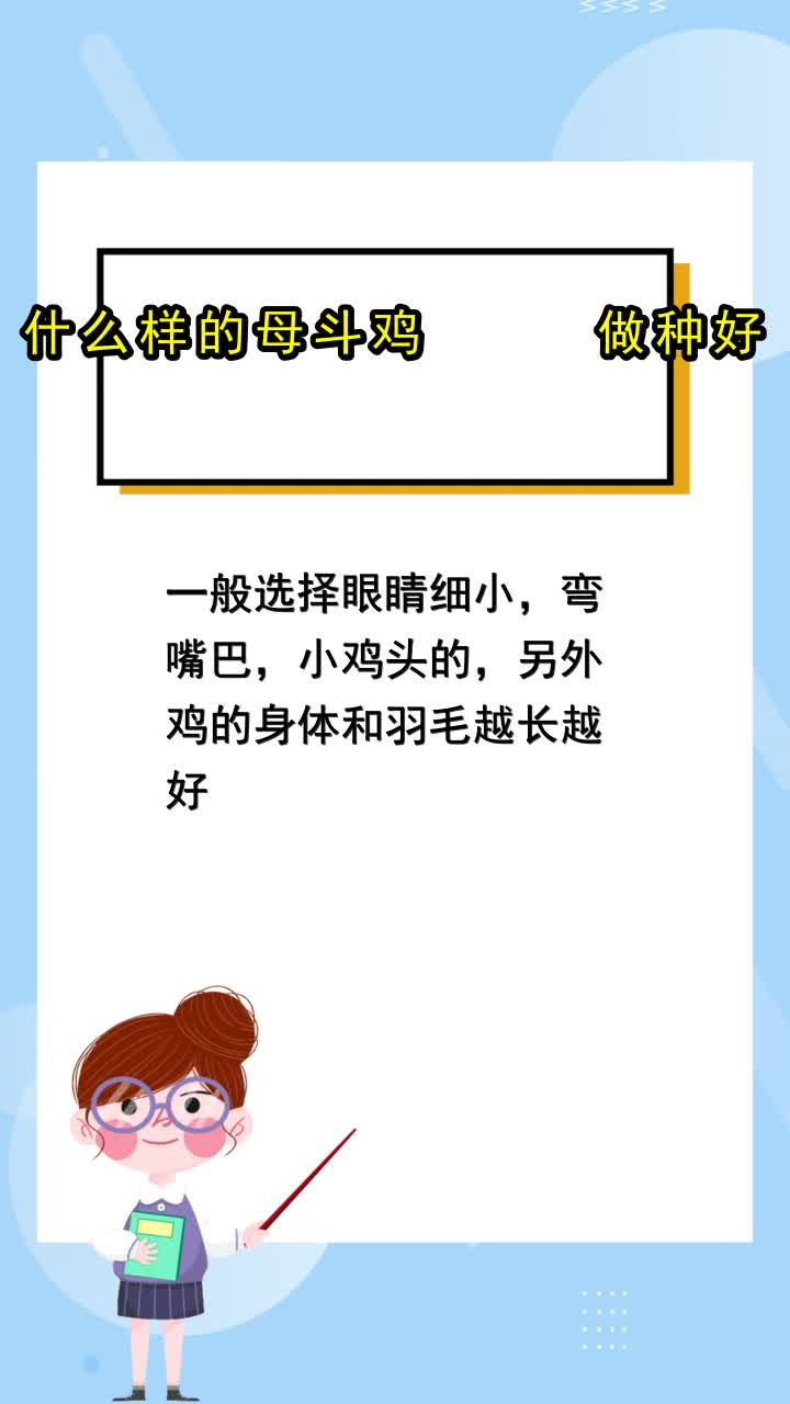 什么样的母斗鸡做种好,你领悟了吗
