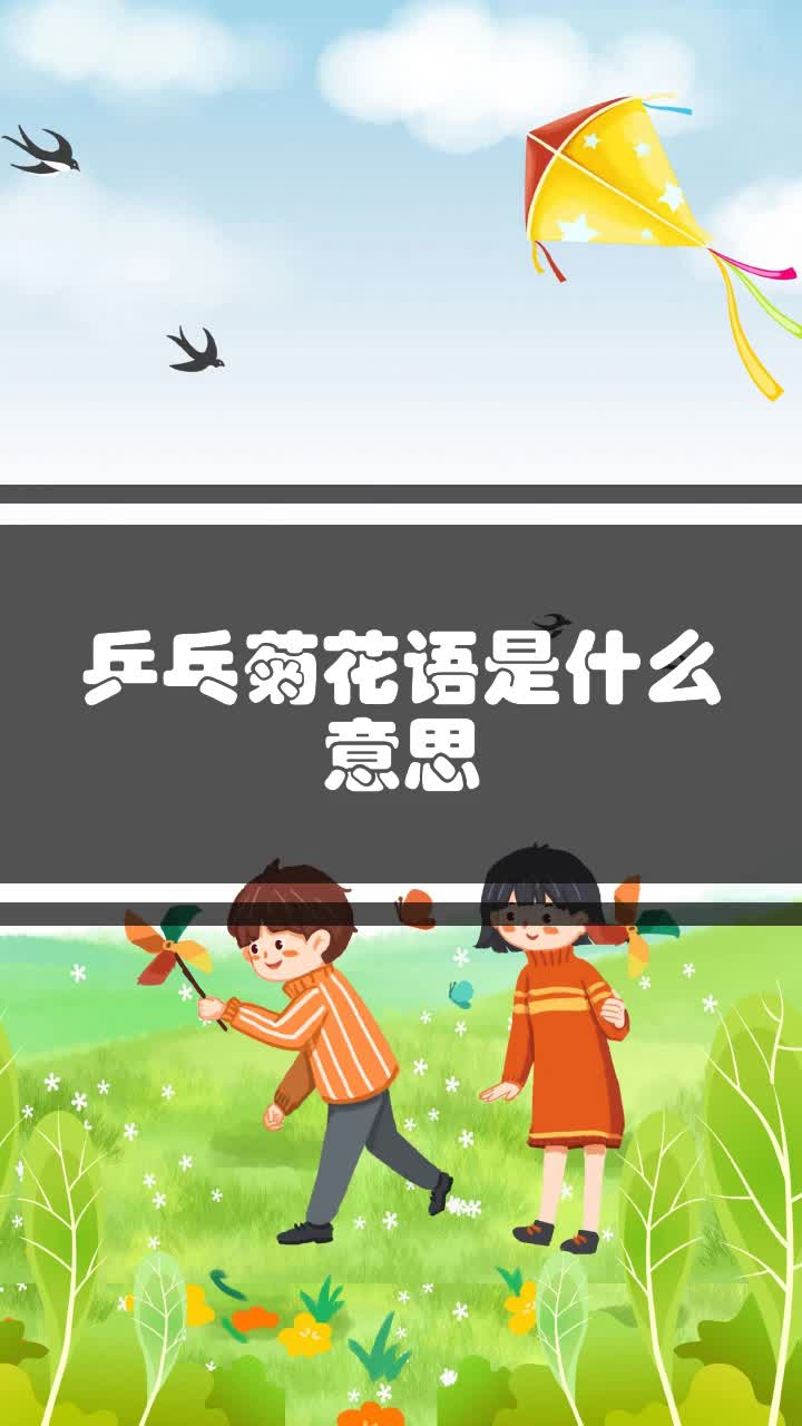乒乓菊花语是什么意思