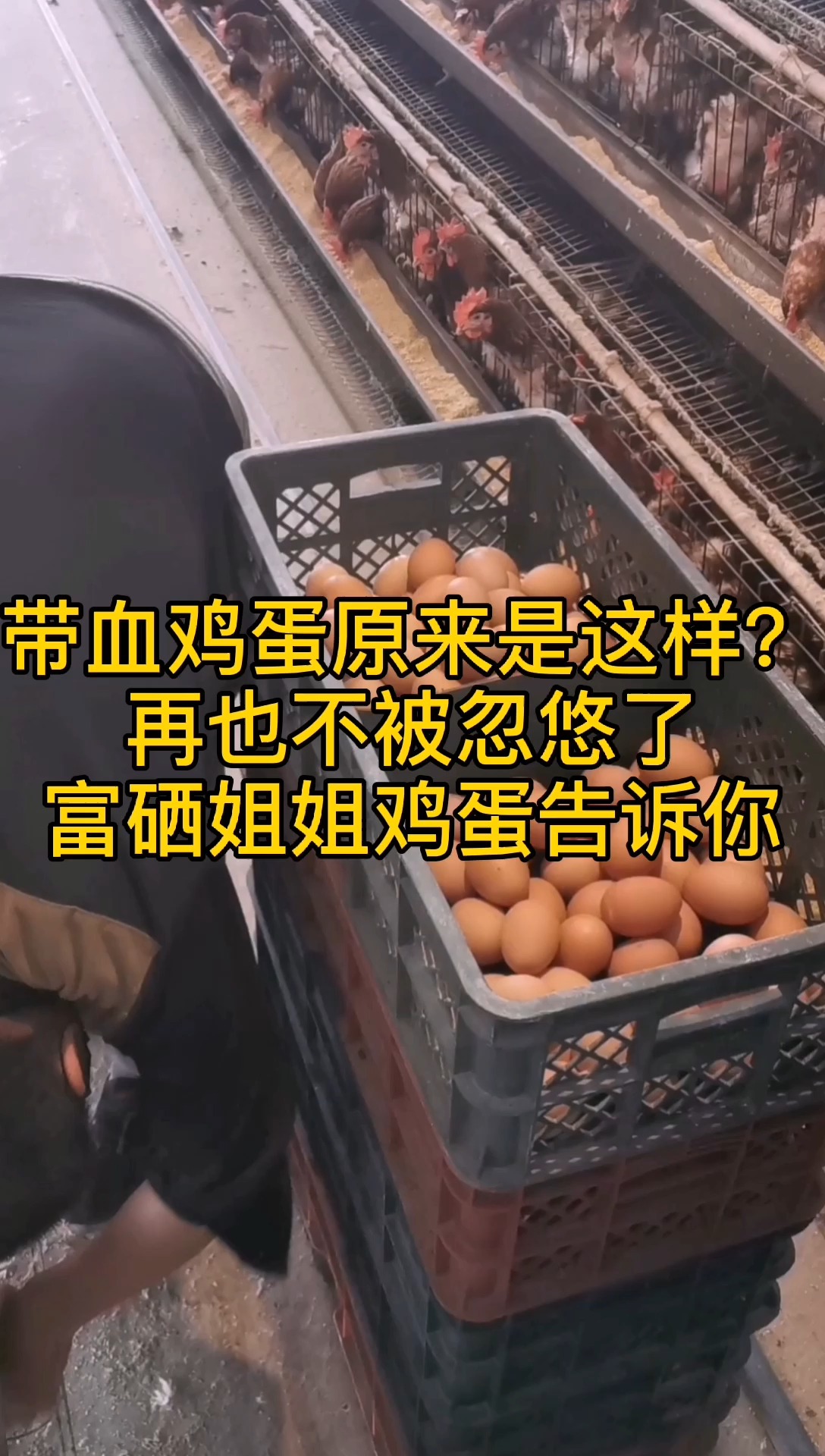 带血鸡蛋是怎么回事