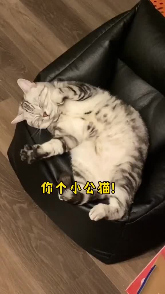 安生你这个样子怎么配的上泡芙啊王泡芙安生的爸爸