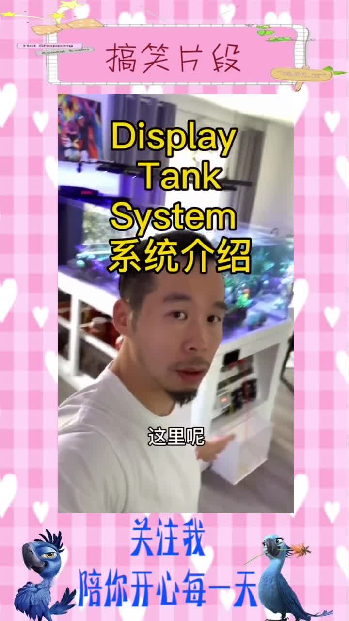 717.鱼缸系统~观赏鱼,搞笑视频