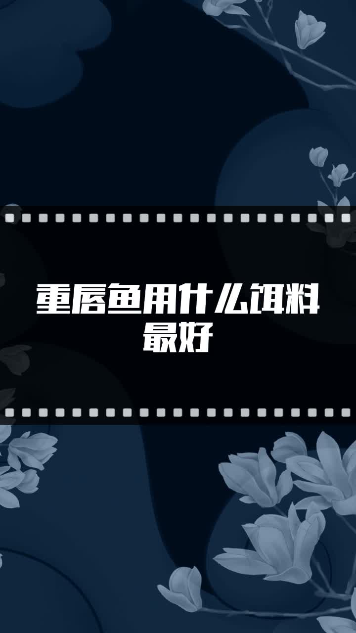 重唇鱼用什么饵料最好