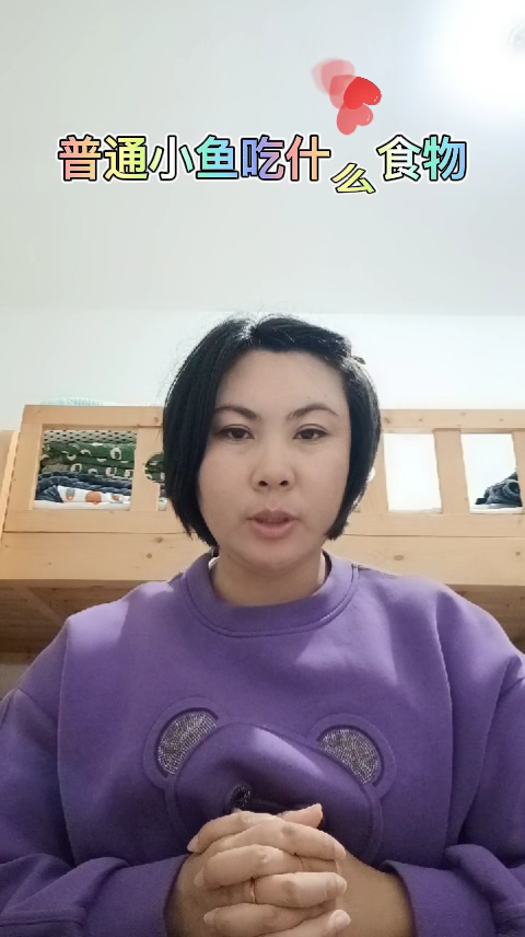 普通小鱼吃什么食物?
