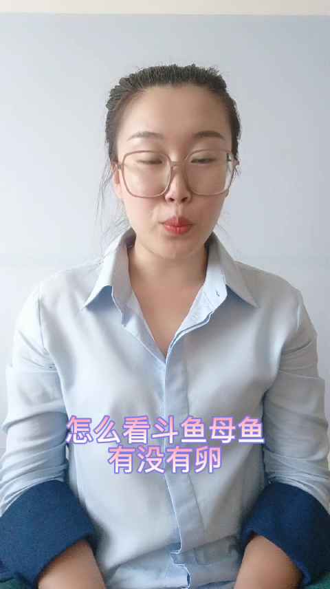 怎么看斗鱼母鱼有没有卵