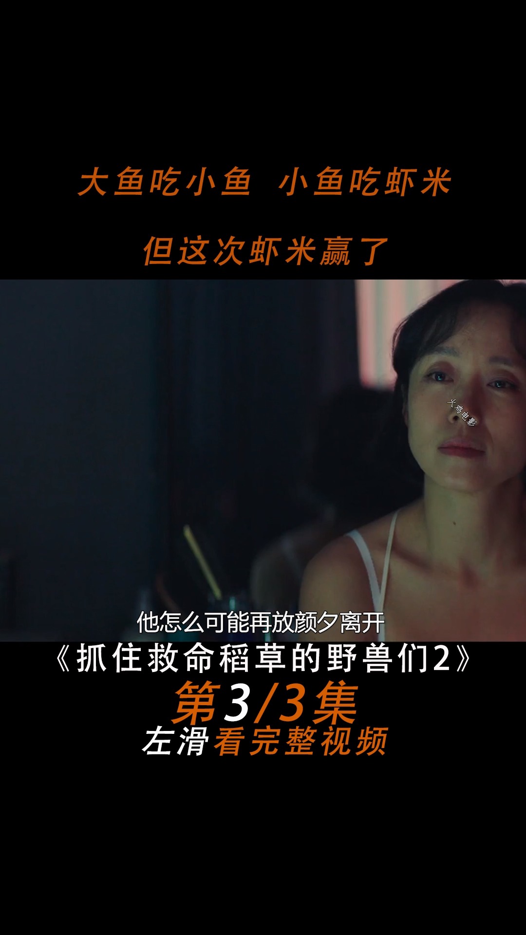 #好看电影#人性片:抓住救命稻草的野兽们