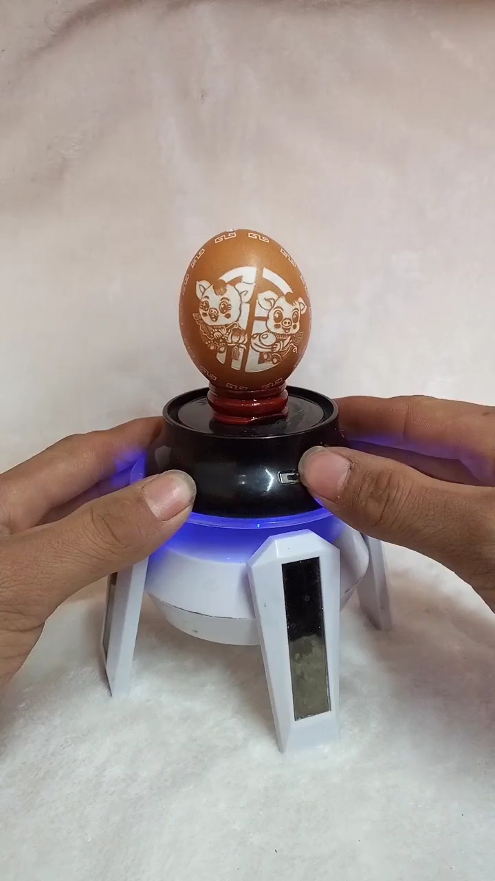鸡蛋壳雕刻的小猪