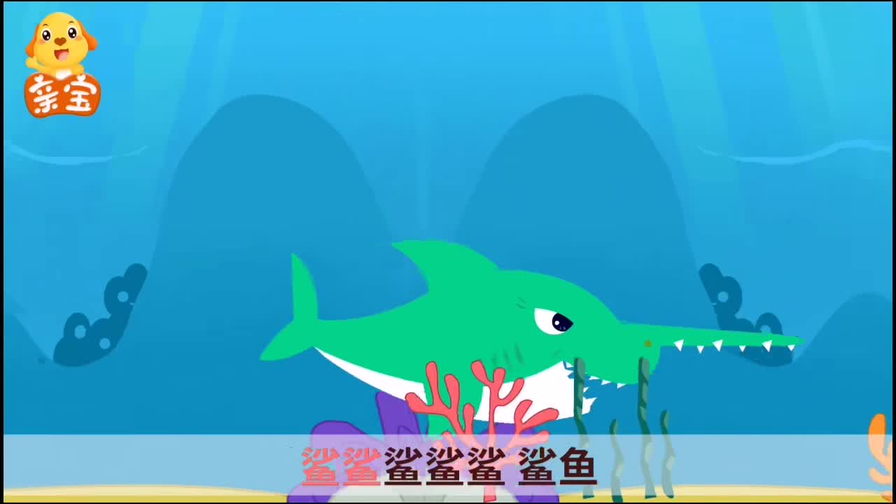 ##大海里的猎手鲨鱼亲宝