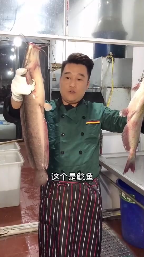 鲶鱼和清江鱼的区分