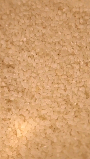 颜色雪白,粒大饱满的糯米是制造粘性小吃,如粽、八宝粥、汤圆等各式甜品的主要原料。