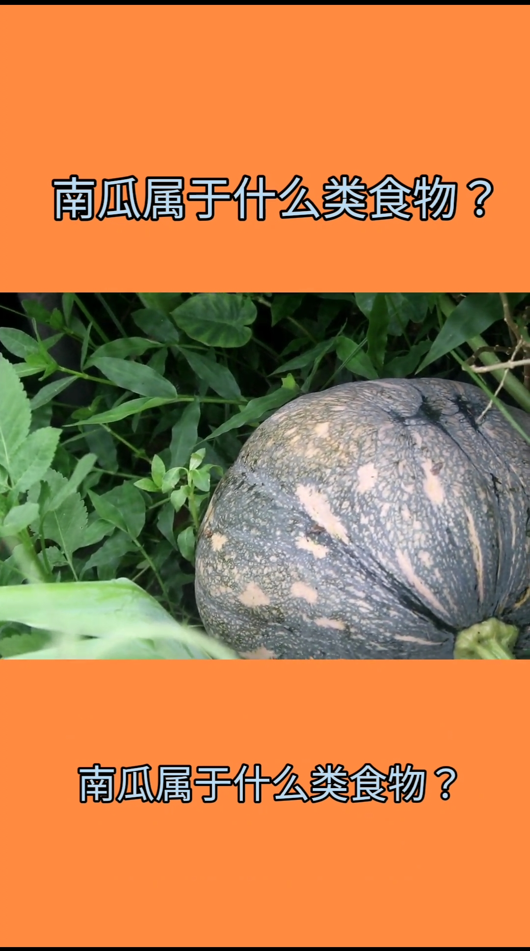 南瓜属于什么类食物?我来告诉你吧!