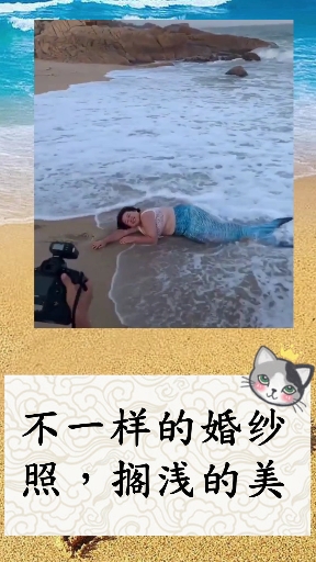 搁浅的美人鱼