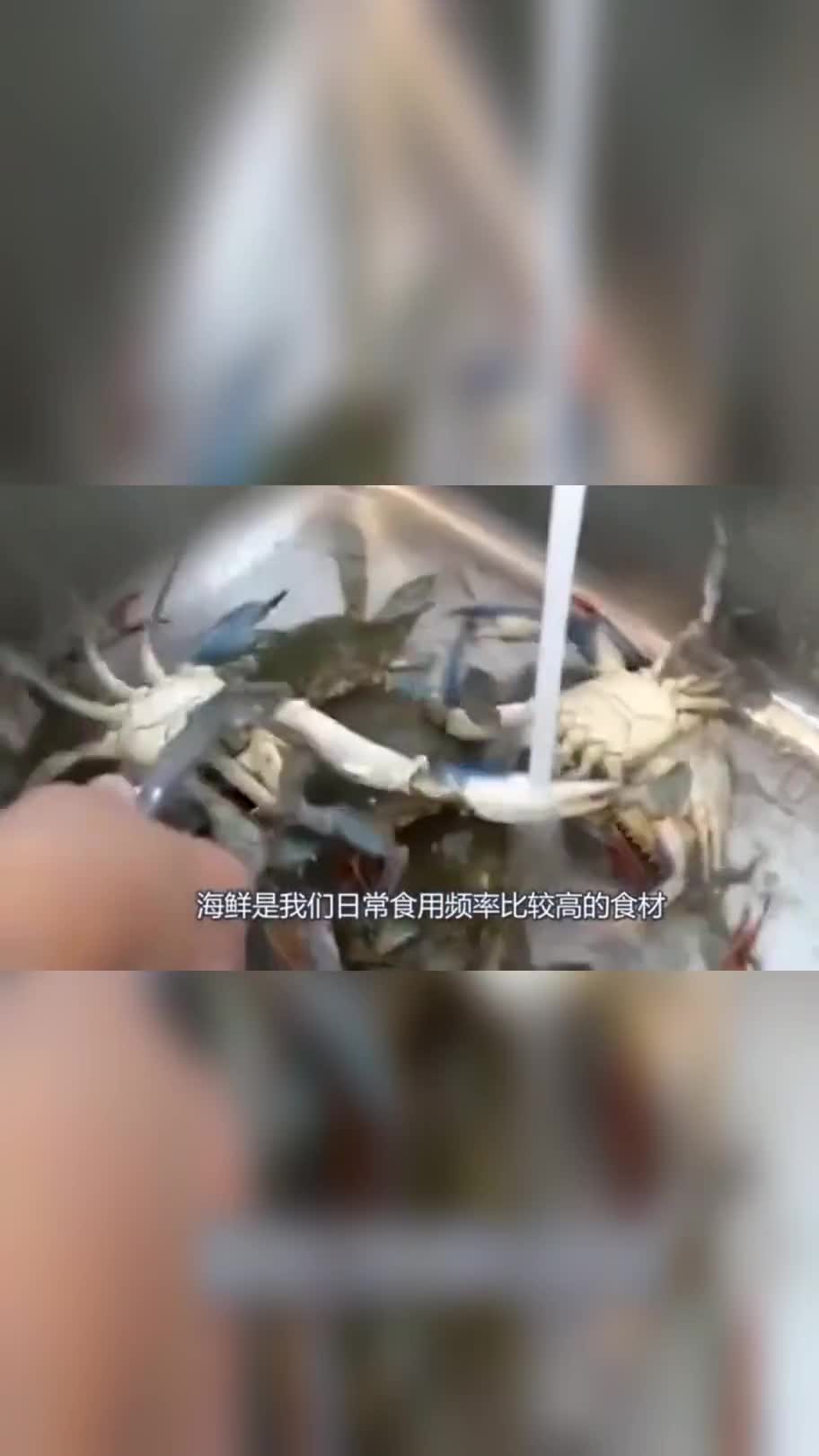 美国大厨精妙手法解剖皮皮虾,精华一抽而出,网友:还收徒弟吗
