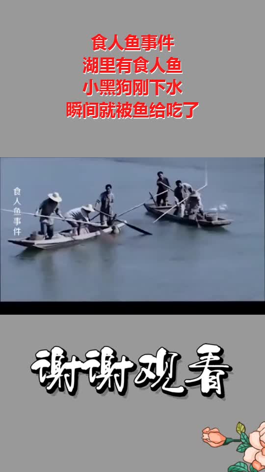 食人鱼事件:湖里有食人鱼,小黑狗刚下水,瞬间就被鱼给吃了
