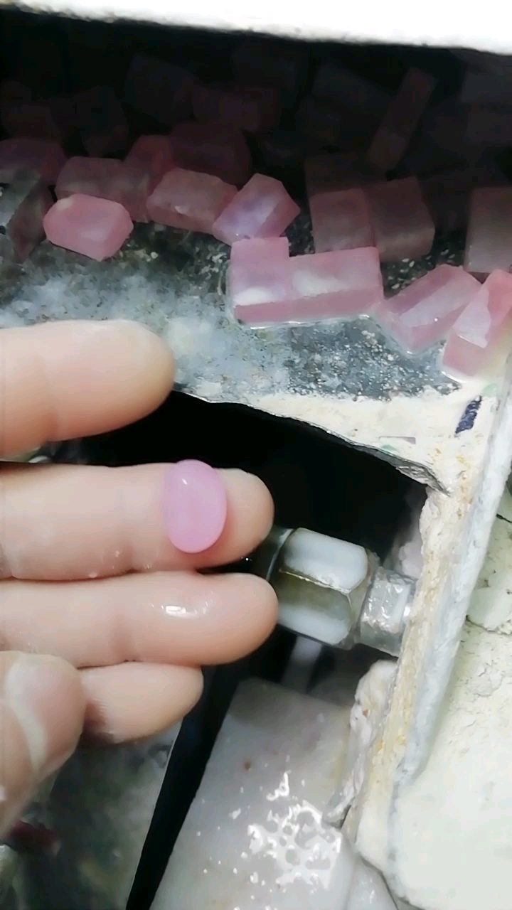 粉红佳人