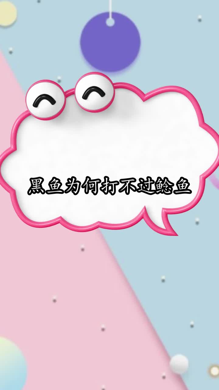黑鱼为何打不过鲶鱼,你明白了吗