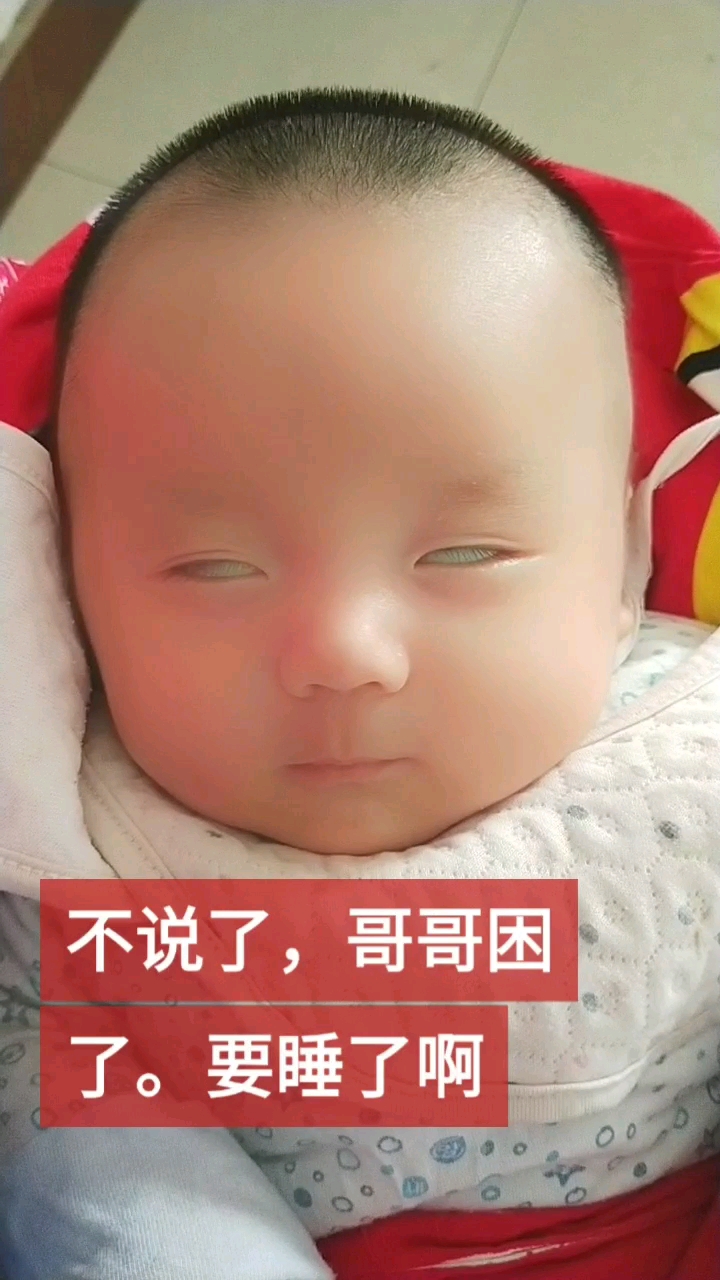 表情包来了